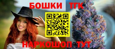 крисы Лесосибирск
