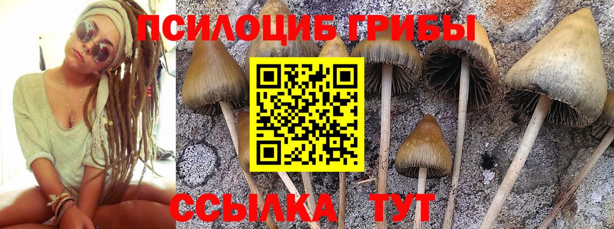 Галлюциногенные грибы мухоморы  сколько стоит  Ханты-Мансийск  Вход с VPN 